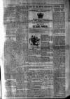 Antigua Observer Thursday 03 January 1901 Page 3