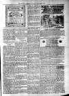 Antigua Observer Thursday 24 April 1902 Page 3