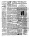 Sun (Antigua) Saturday 08 March 1913 Page 3