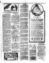 Sun (Antigua) Saturday 20 January 1917 Page 3