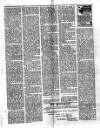 Sun (Antigua) Monday 05 February 1917 Page 3