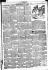 Chicago Citizen Saturday 04 January 1890 Page 3