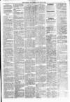 Chicago Citizen Saturday 21 January 1893 Page 7