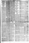 Chicago Citizen Saturday 25 November 1893 Page 5