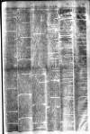 Chicago Citizen Saturday 07 July 1894 Page 7