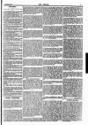Empire News & The Umpire Sunday 05 October 1884 Page 7