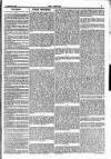 Empire News & The Umpire Sunday 09 November 1884 Page 7