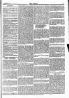 Empire News & The Umpire Sunday 21 December 1884 Page 7