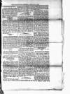 Dominica Dial Saturday 10 February 1883 Page 3