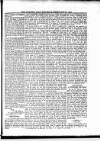 Dominica Dial Saturday 16 February 1884 Page 3