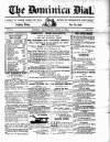 Dominica Dial Saturday 21 June 1884 Page 1