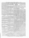 Dominica Dial Saturday 16 November 1889 Page 3