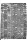 Southport Visiter Tuesday 25 May 1869 Page 3