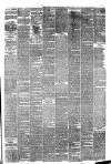 Southport Visiter Friday 08 January 1875 Page 3