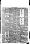 Southport Visiter Friday 21 May 1875 Page 5
