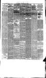 Southport Visiter Tuesday 25 May 1875 Page 5