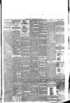 Southport Visiter Friday 28 May 1875 Page 5