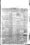 Southport Visiter Friday 11 June 1875 Page 7