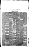 Southport Visiter Friday 18 June 1875 Page 5