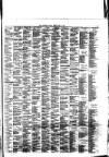 Southport Visiter Friday 09 July 1875 Page 3