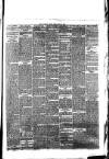 Southport Visiter Friday 16 July 1875 Page 5