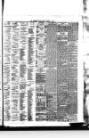 Southport Visiter Friday 31 December 1875 Page 3