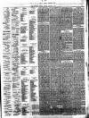 Southport Visiter Tuesday 02 January 1877 Page 3