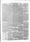 Coleshill Chronicle Saturday 19 January 1878 Page 5
