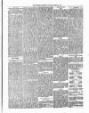 Coleshill Chronicle Saturday 22 March 1879 Page 5