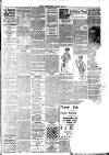 Kent Messenger Saturday 30 March 1912 Page 3