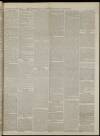 Bromsgrove & Droitwich Messenger Saturday 15 April 1865 Page 3