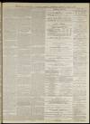 Bromsgrove & Droitwich Messenger Saturday 12 April 1879 Page 3