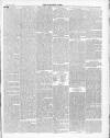 Darlaston Weekly Times Saturday 15 July 1882 Page 5