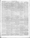 Darlaston Weekly Times Saturday 18 November 1882 Page 3