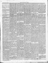 Darlaston Weekly Times Saturday 17 February 1883 Page 5