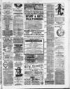 Darlaston Weekly Times Saturday 05 January 1884 Page 3