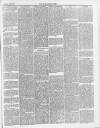 Darlaston Weekly Times Saturday 26 January 1884 Page 5