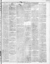 Darlaston Weekly Times Saturday 09 January 1886 Page 3