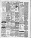Darlaston Weekly Times Saturday 06 February 1886 Page 7