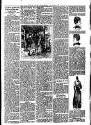 St. Austell Star Friday 16 January 1891 Page 3