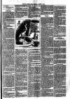 St. Austell Star Friday 07 August 1891 Page 3