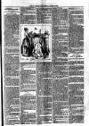 St. Austell Star Friday 21 August 1891 Page 3