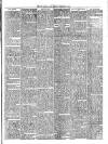 St. Austell Star Friday 02 February 1894 Page 7