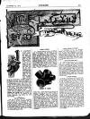 Cycling Saturday 24 November 1894 Page 53
