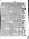 Boston Spa News Friday 18 June 1880 Page 5