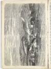 Bromsgrove Gleaner Friday 01 September 1854 Page 6