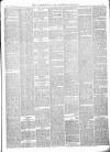 Darlington & Richmond Herald Saturday 27 January 1877 Page 5