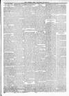 Nantwich, Sandbach & Crewe Star Saturday 19 October 1889 Page 3