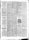 Nantwich, Sandbach & Crewe Star Friday 08 January 1892 Page 3