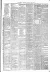 Dewsbury Chronicle and West Riding Advertiser Saturday 24 March 1877 Page 3